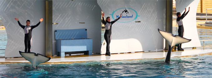 marineland enfants dans un parc aquatique