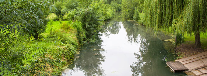 Balade sur l'eau lors d'une visite du Marais Poitevin